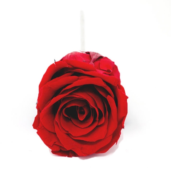 Red Rose Box - Picture 3 of 8